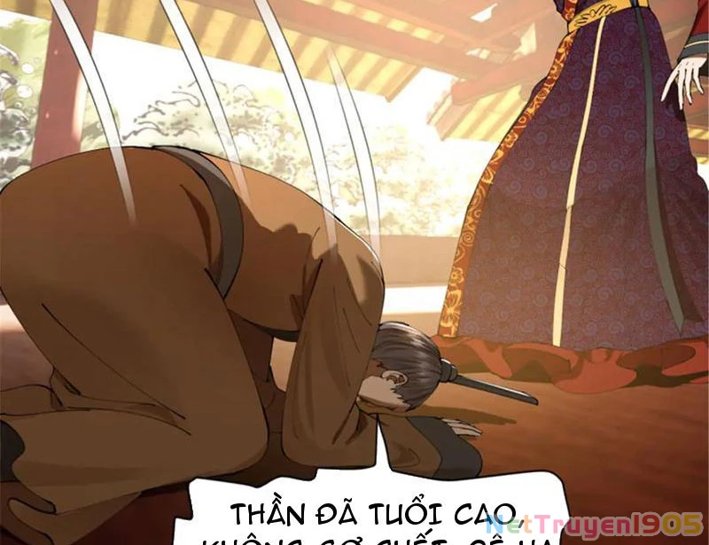 Chàng Rể Mạnh Nhất Lịch Sử Chapter 314 - 104