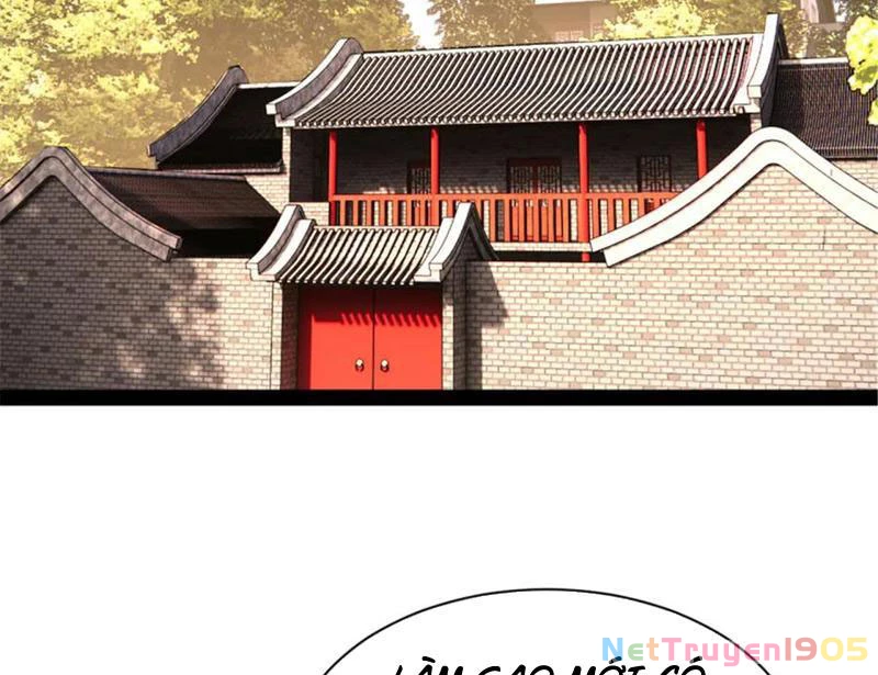 Chàng Rể Mạnh Nhất Lịch Sử Chapter 314 - 116
