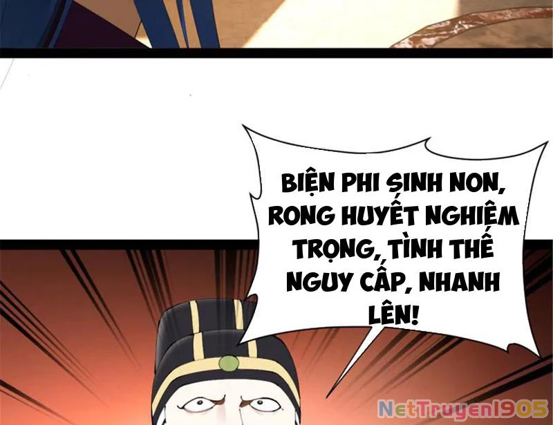 Chàng Rể Mạnh Nhất Lịch Sử Chapter 314 - 120