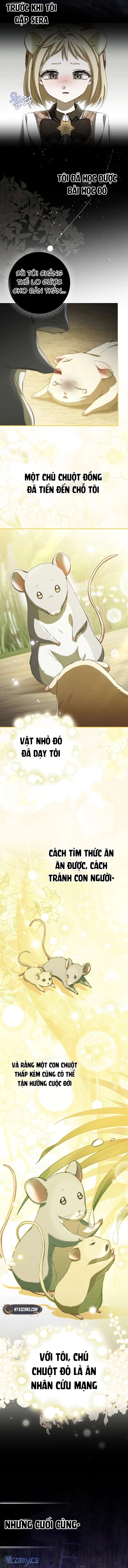 Chuột Đồng Này Sẽ Đưa Lọ Lem Đi Chapter 11 - 13