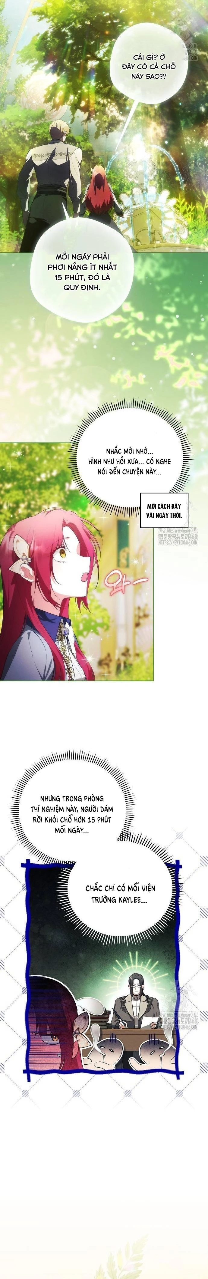 Không Có Lợi Ích Gì Cho Người Sở Hữu Chapter  11 - 6