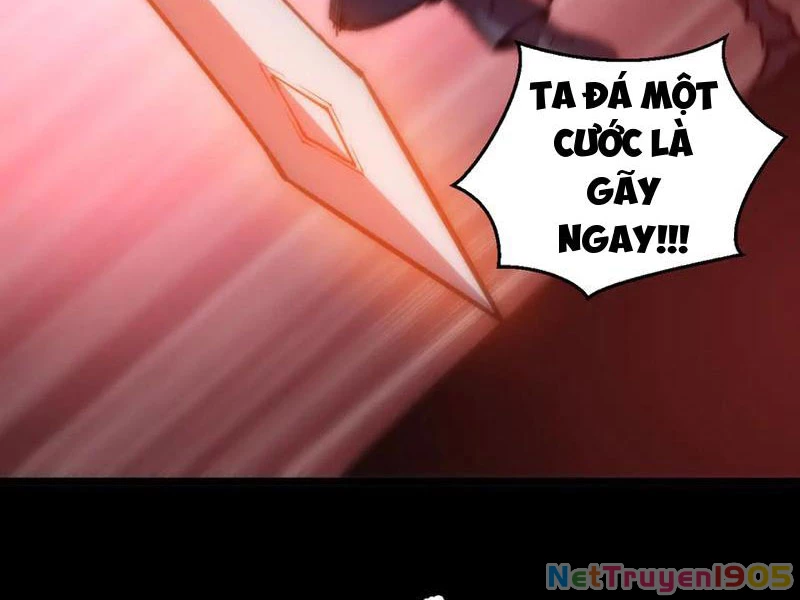 Mạt Thế: Nhân Hoàng Phiên Mời Chư Vị Nữ Đồ Đệ Nhập Tọa Chapter 22 - 14