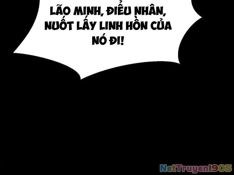 Mạt Thế: Nhân Hoàng Phiên Mời Chư Vị Nữ Đồ Đệ Nhập Tọa Chapter 22 - 48