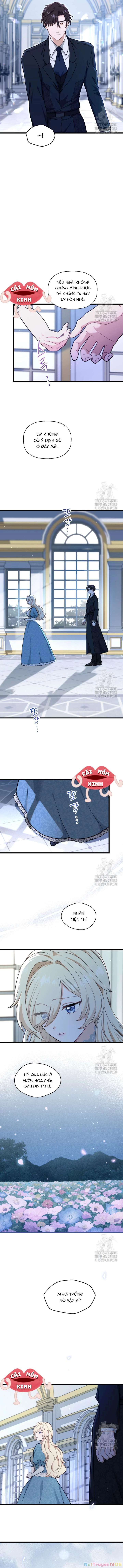 Bệ Hạ, Xin Hãy Quên Tôi Đi Chapter 8 - 5