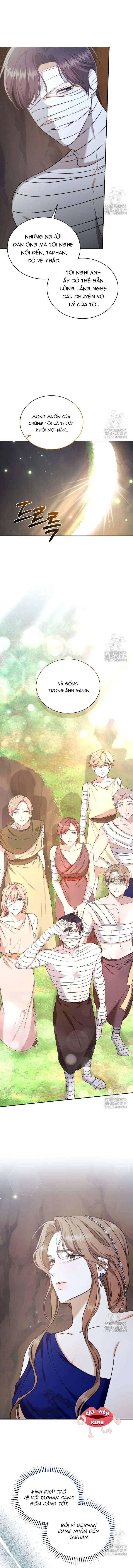 Khu Rừng Hoang Dã Chapter 31 - 11