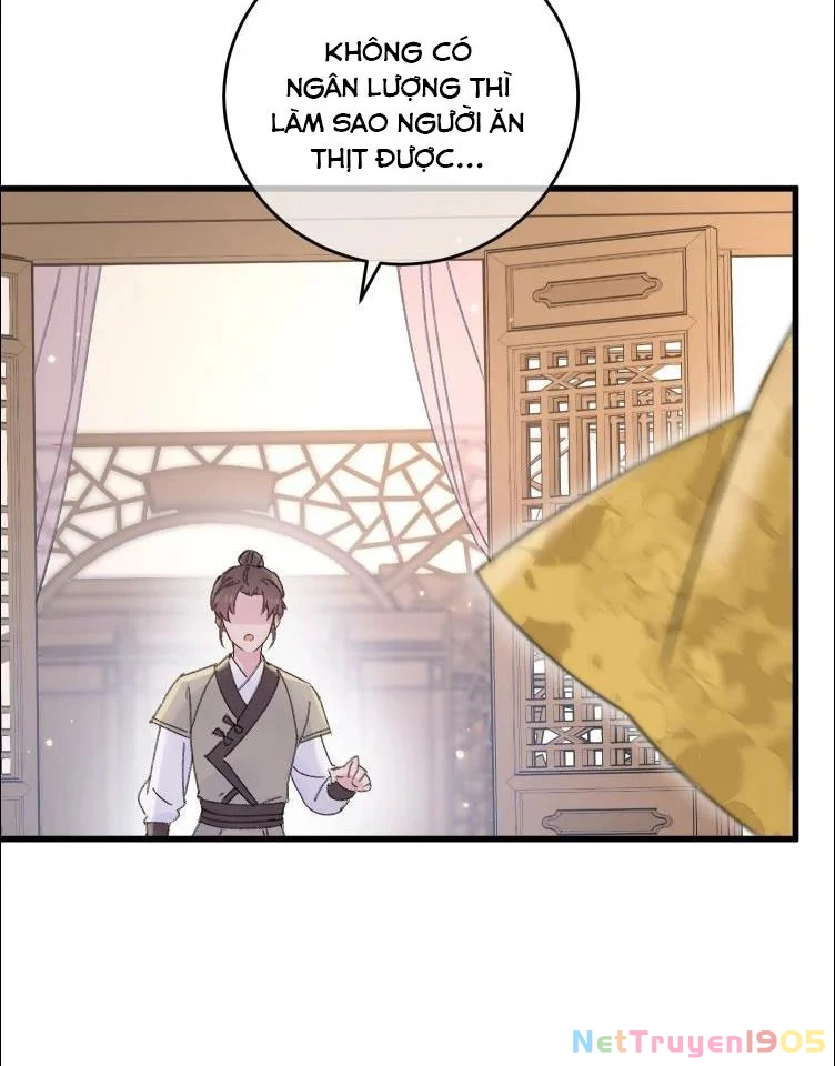 Ta Gả Vào Vương Phủ, Chỉ Muốn Kiếm Tiền Chapter 3 - 13