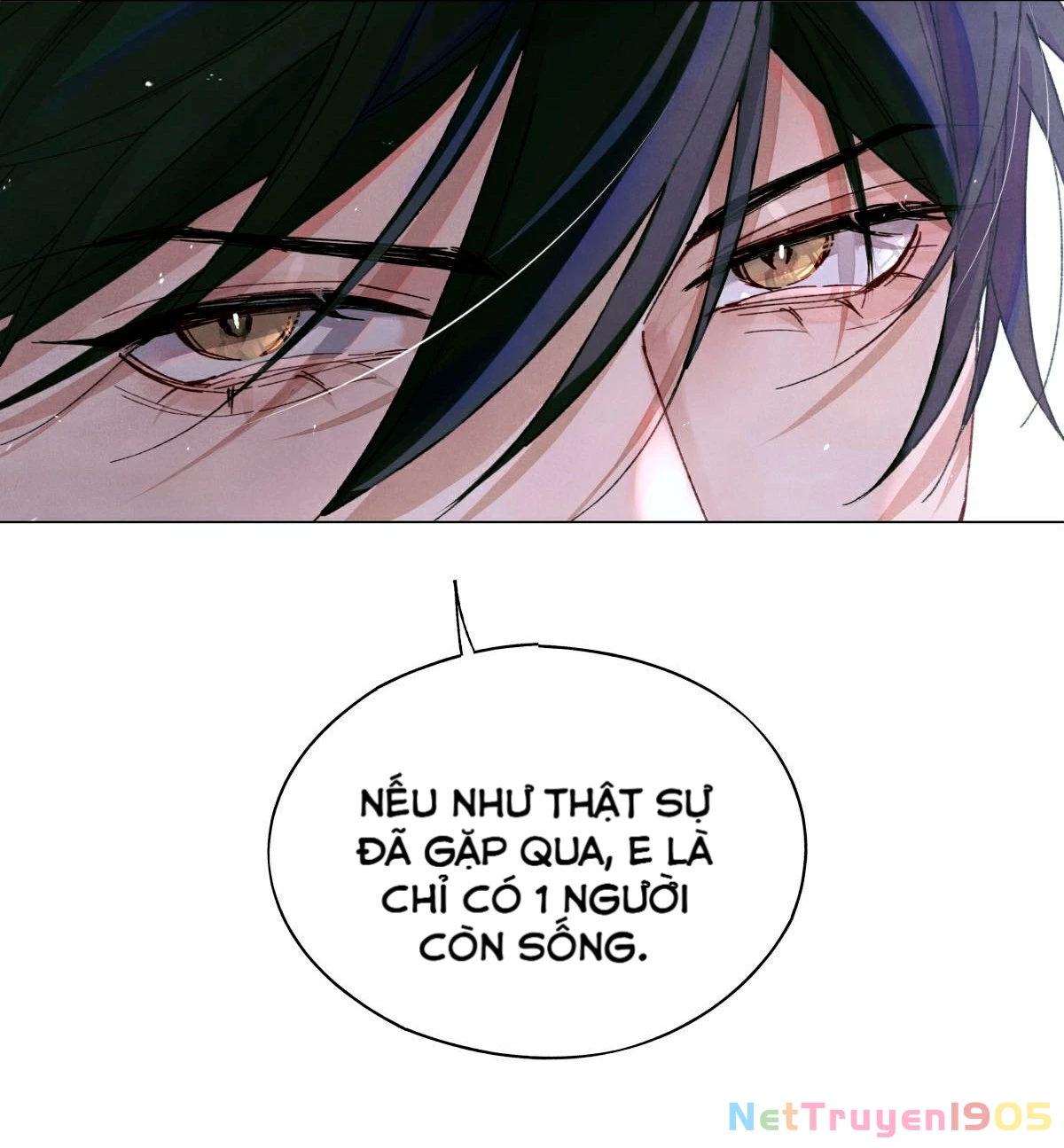 Cuộc Thi Toàn Cầu Chapter 14 - 24
