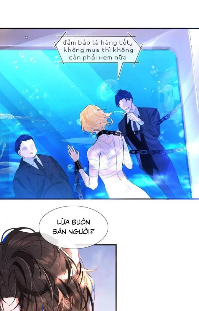 Nhân Ngư Rơi Xuống Chapter 1 - 8