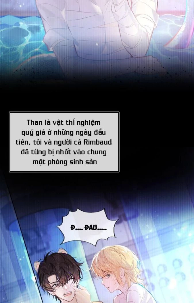Nhân Ngư Rơi Xuống Chapter 1 - 15