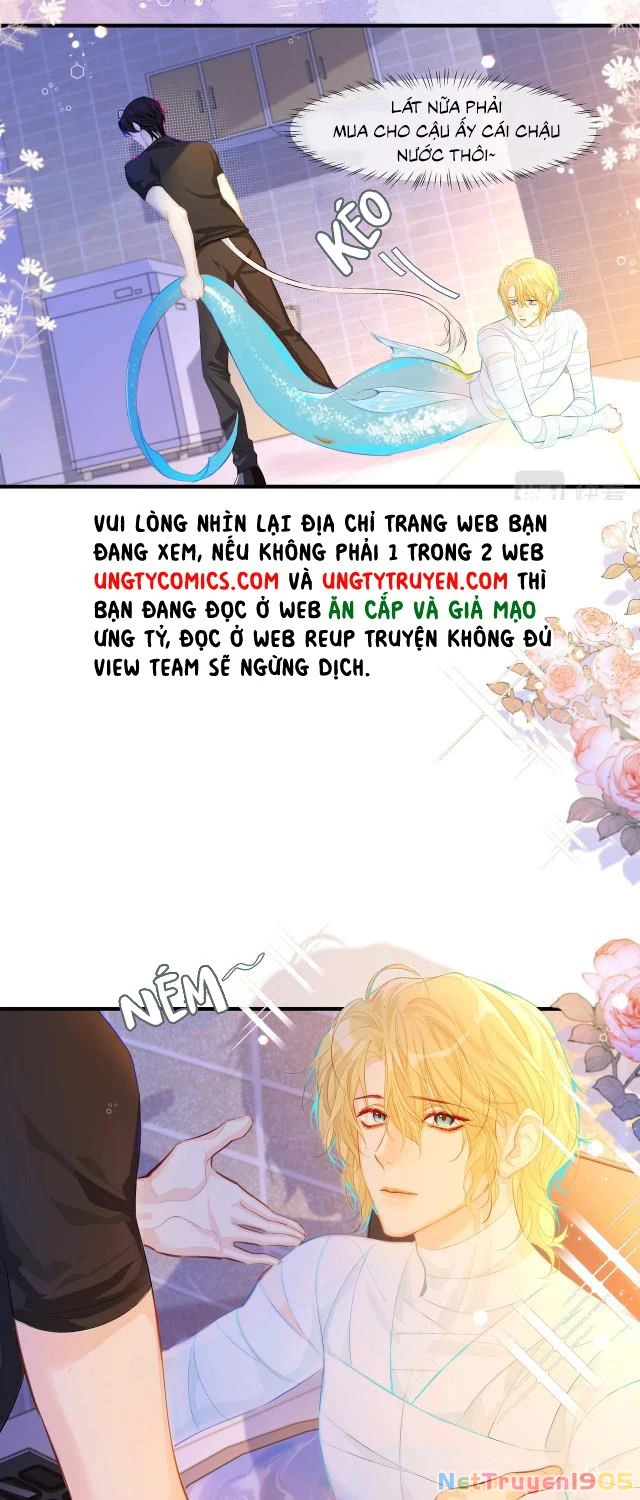 Nhân Ngư Rơi Xuống Chapter 3 - 9