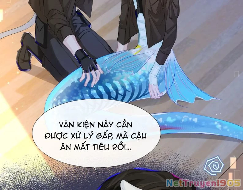 Nhân Ngư Rơi Xuống Chapter 7 - 8