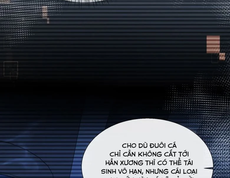 Nhân Ngư Rơi Xuống Chapter 10 - 28