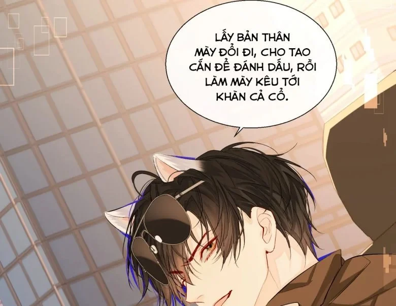 Nhân Ngư Rơi Xuống Chapter 12 - 38