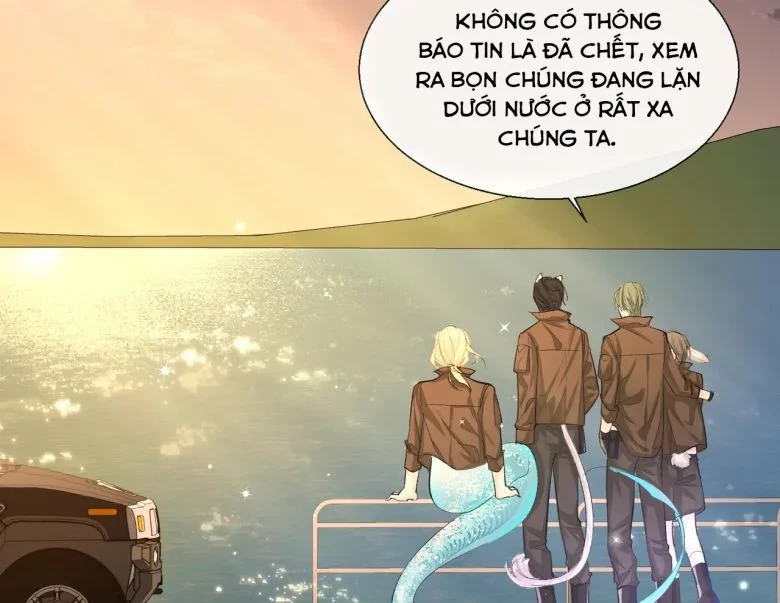 Nhân Ngư Rơi Xuống Chapter 12 - 49