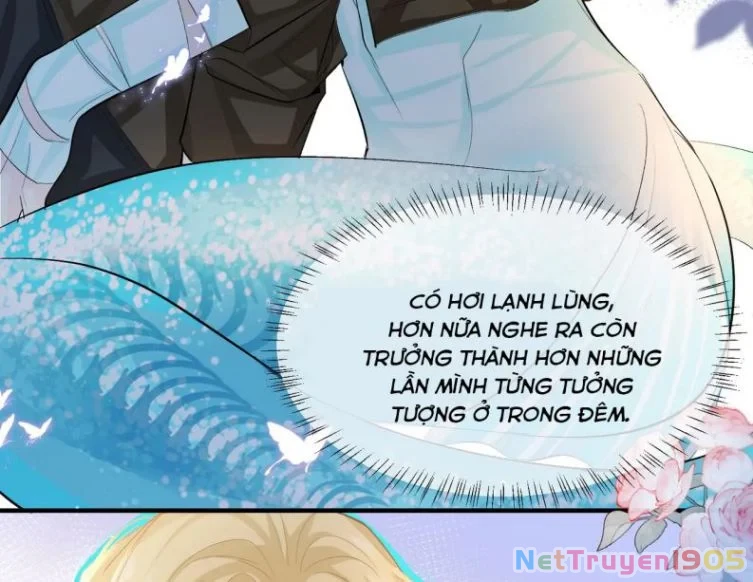 Nhân Ngư Rơi Xuống Chapter 13 - 43