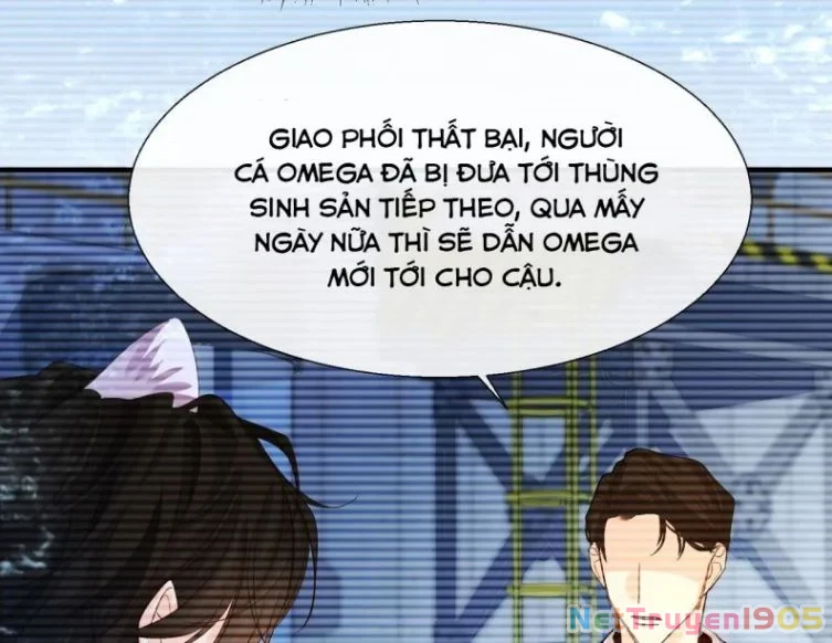 Nhân Ngư Rơi Xuống Chapter 13 - 57