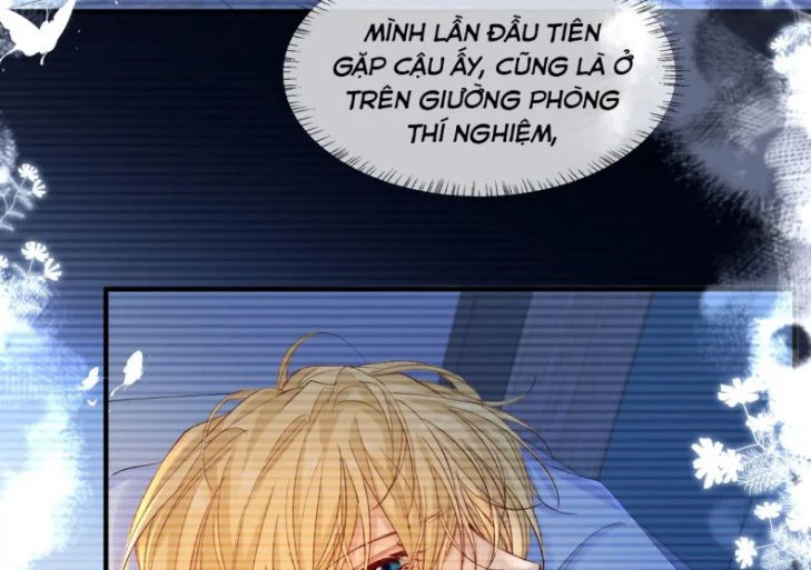 Nhân Ngư Rơi Xuống Chapter 14 - 77