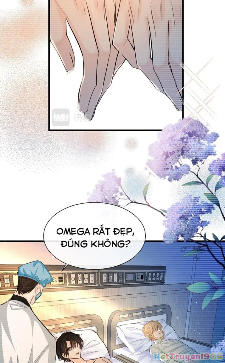 Nhân Ngư Rơi Xuống Chapter 15 - 2