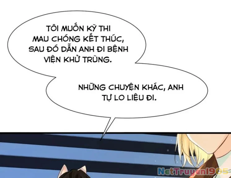 Nhân Ngư Rơi Xuống Chapter 17 - 35