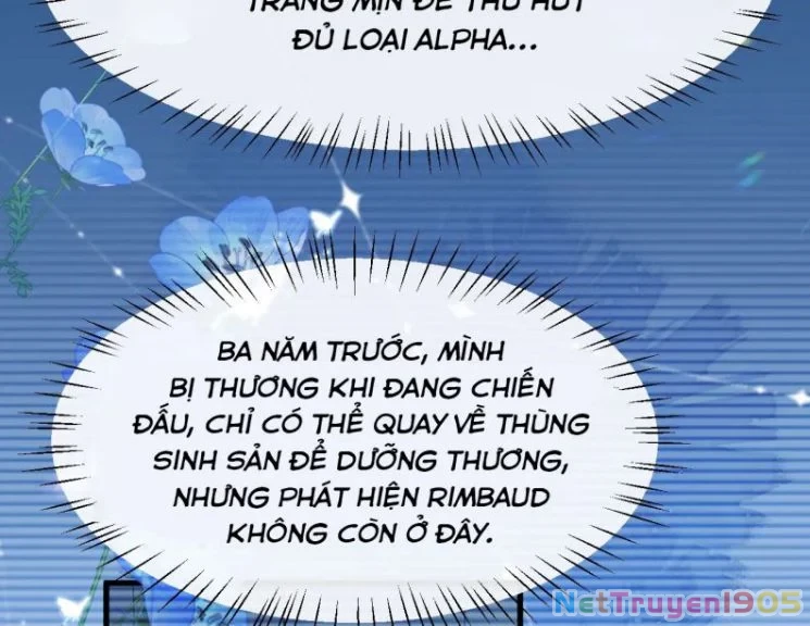 Nhân Ngư Rơi Xuống Chapter 17 - 66