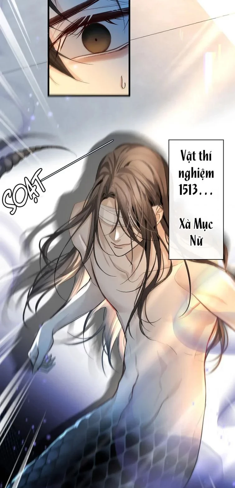 Nhân Ngư Rơi Xuống Chapter 18 - 5