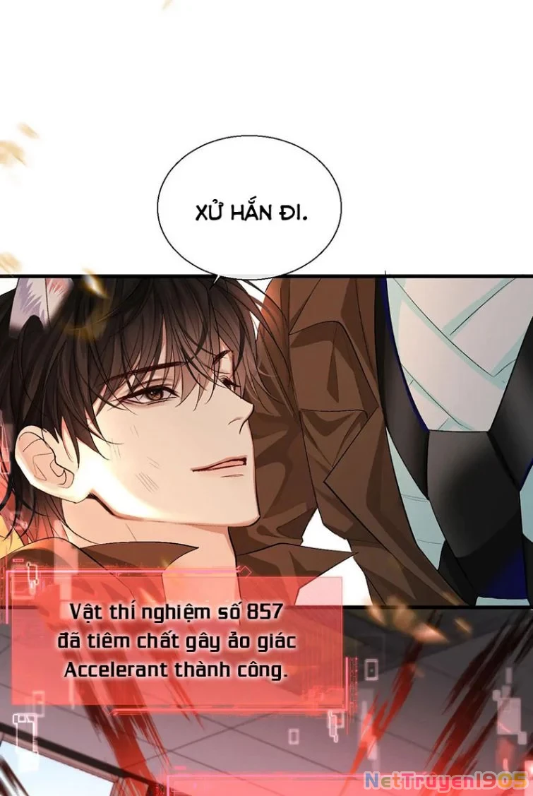 Nhân Ngư Rơi Xuống Chapter 18 - 24
