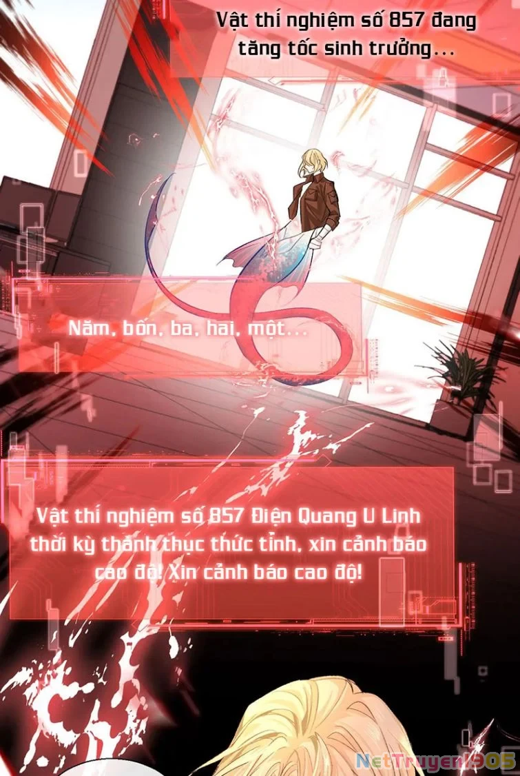 Nhân Ngư Rơi Xuống Chapter 18 - 25