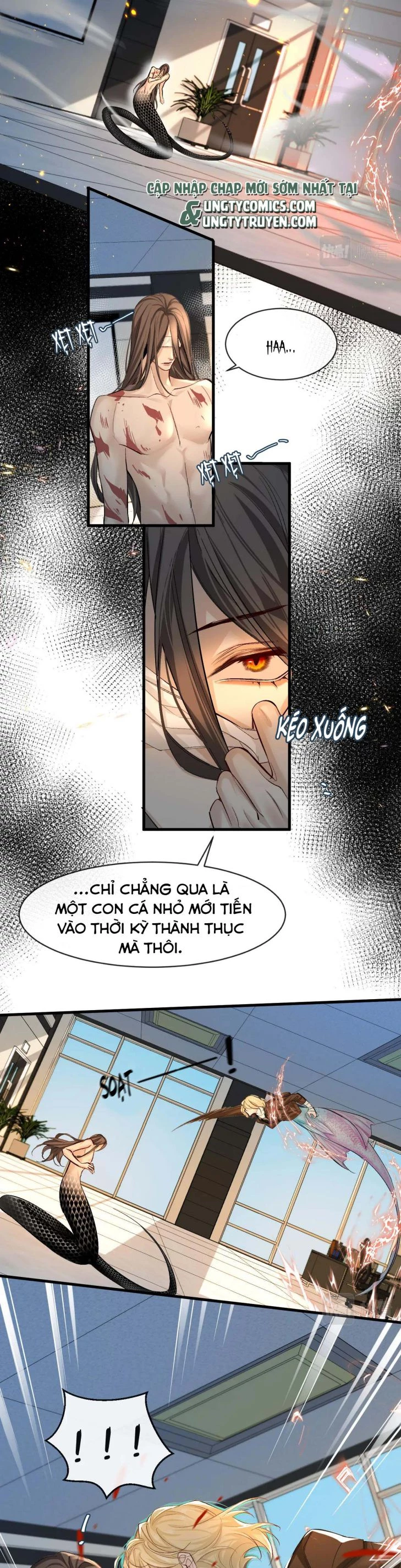 Nhân Ngư Rơi Xuống Chapter 19 - 2