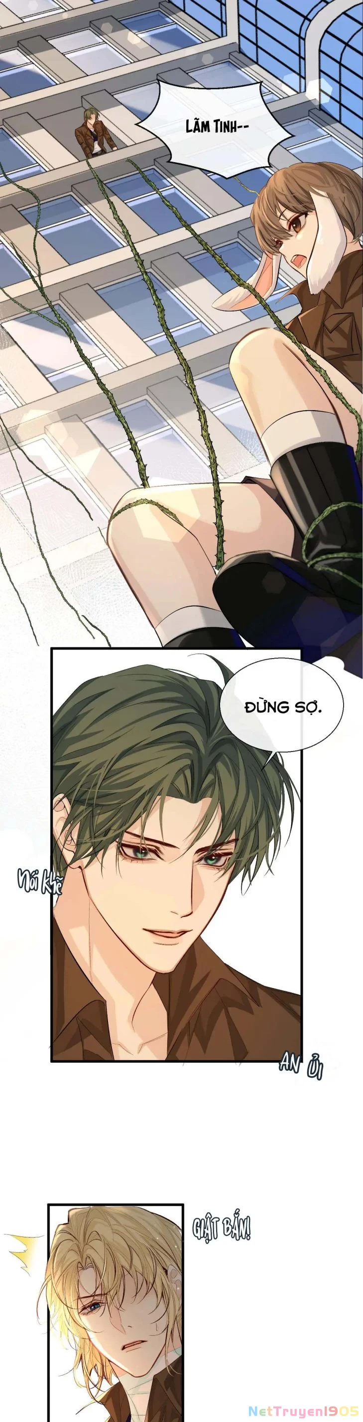 Nhân Ngư Rơi Xuống Chapter 19 - 5