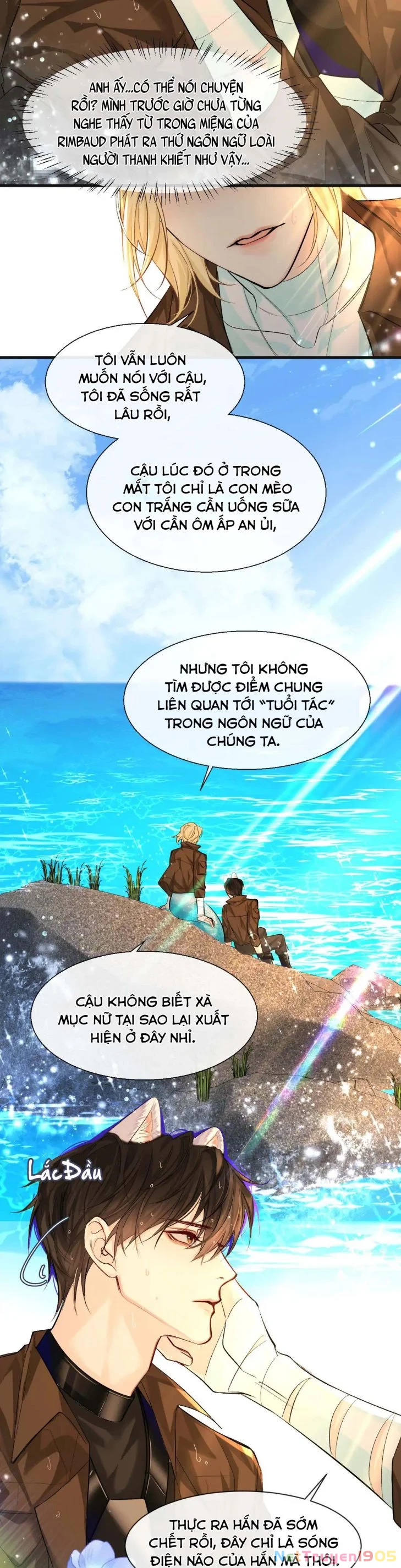 Nhân Ngư Rơi Xuống Chapter 19 - 12