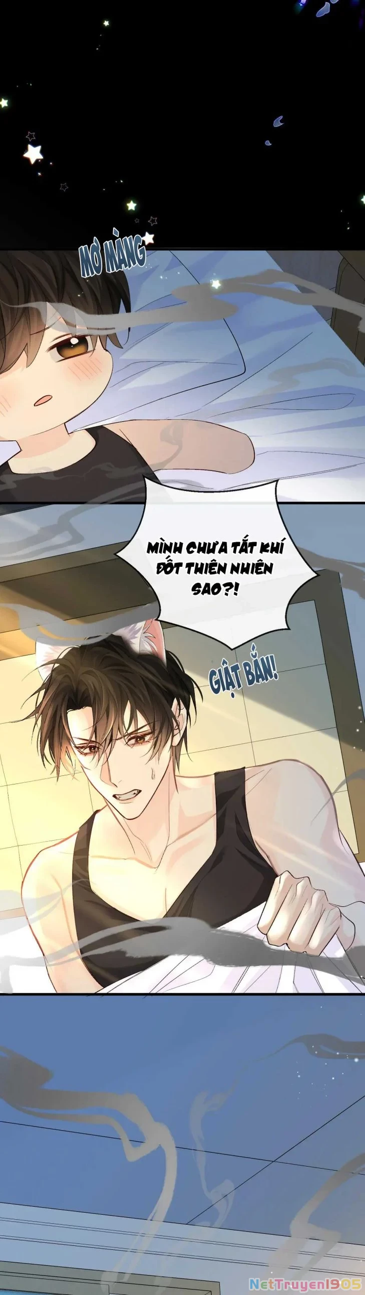 Nhân Ngư Rơi Xuống Chapter 23 - 18