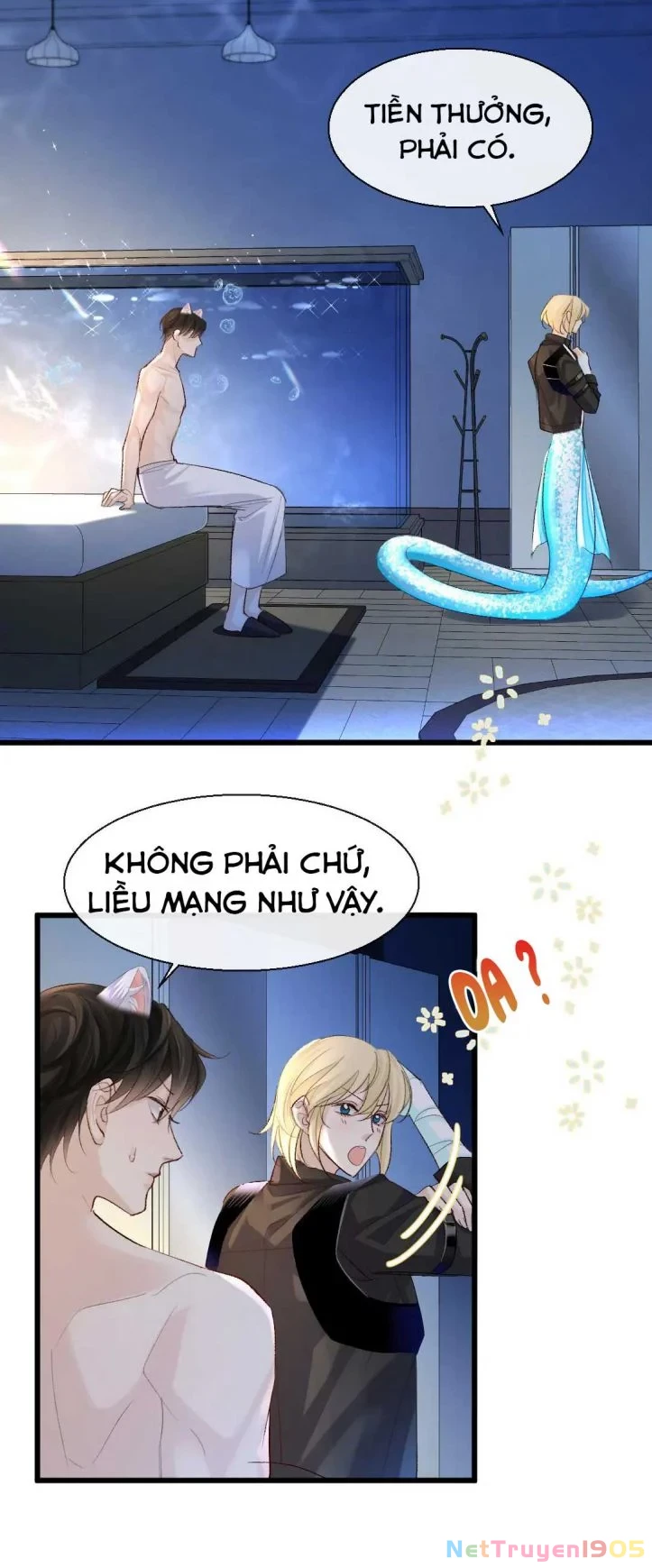 Nhân Ngư Rơi Xuống Chapter 27 - 17