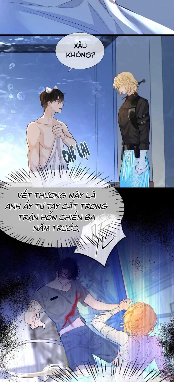 Nhân Ngư Rơi Xuống Chapter 27 - 19