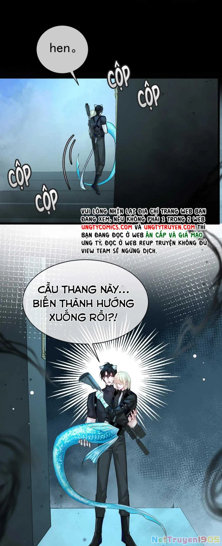 Nhân Ngư Rơi Xuống Chapter 30 - 18