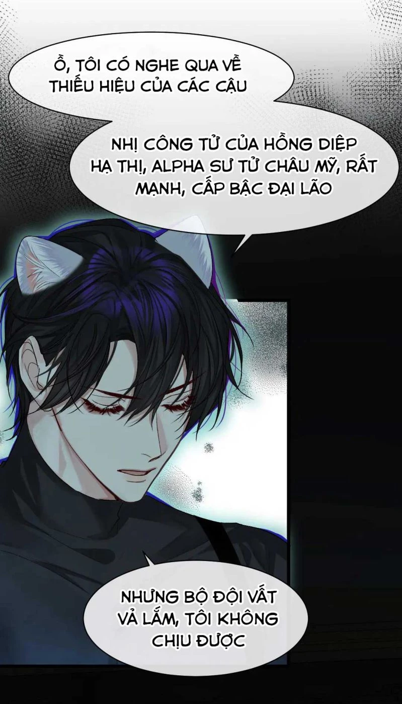 Nhân Ngư Rơi Xuống Chapter 31 - 12