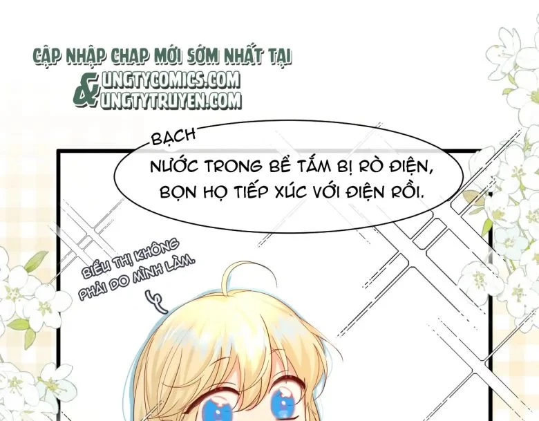 Nhân Ngư Rơi Xuống Chapter 33 - 61