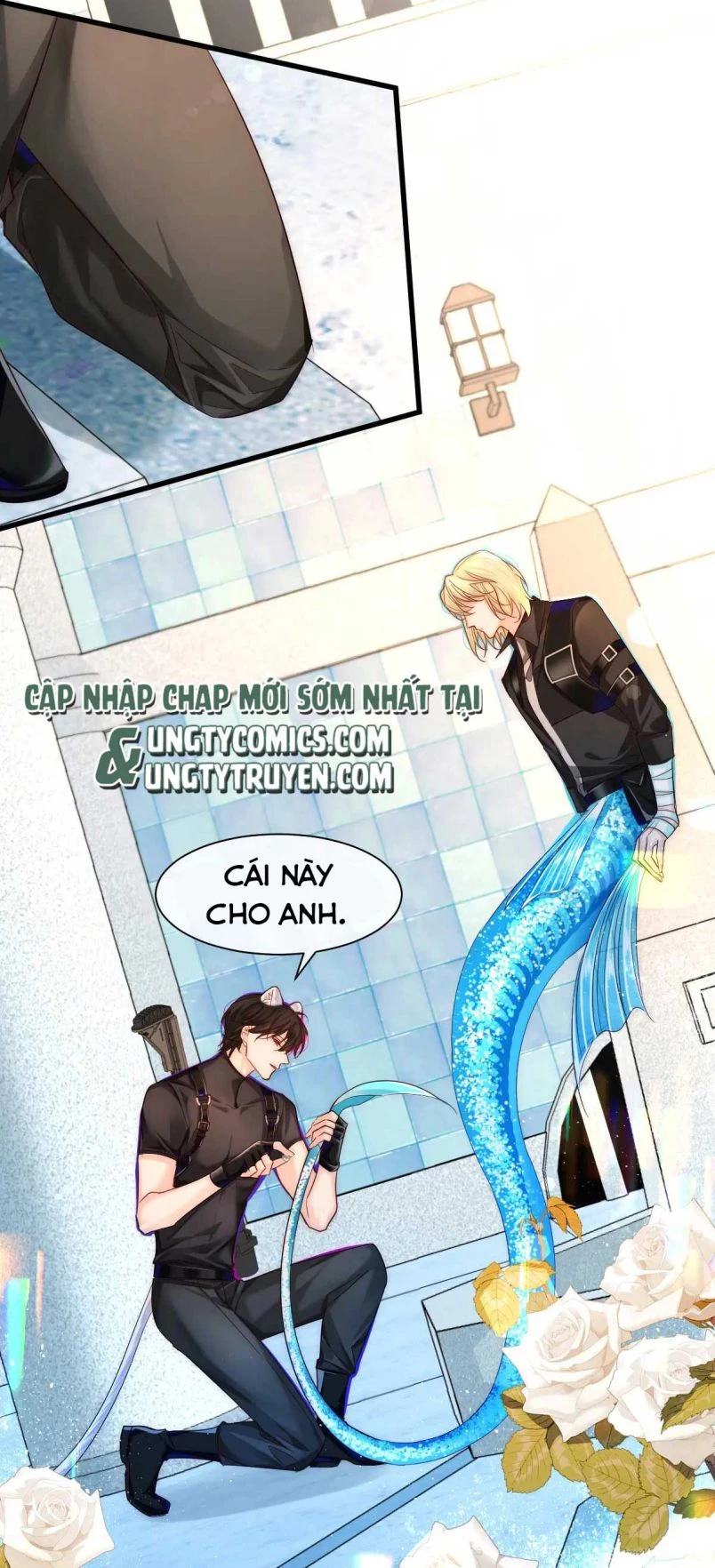 Nhân Ngư Rơi Xuống Chapter 34 - 5