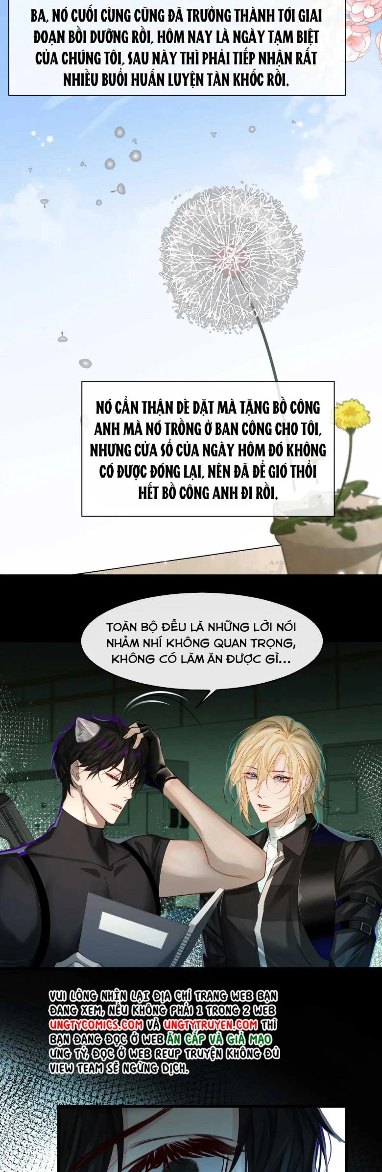 Nhân Ngư Rơi Xuống Chapter 36 - 6