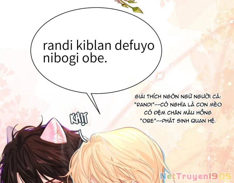 Nhân Ngư Rơi Xuống Chapter 38 - 14