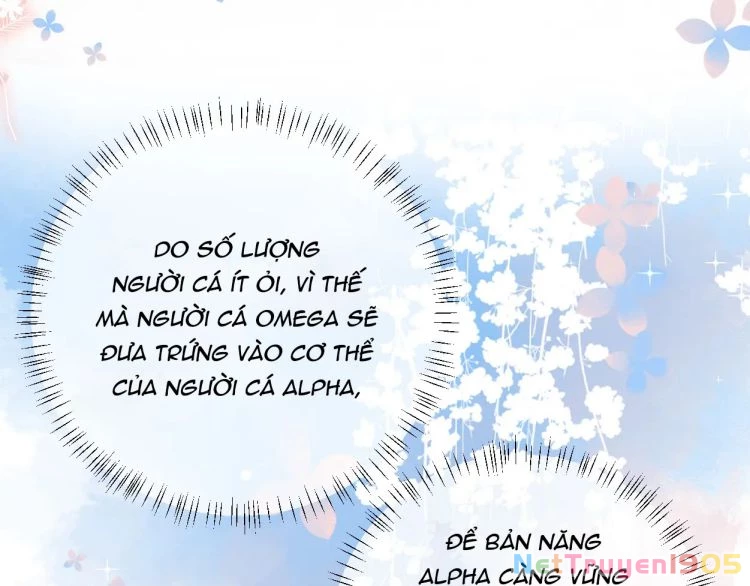 Nhân Ngư Rơi Xuống Chapter 38 - 41