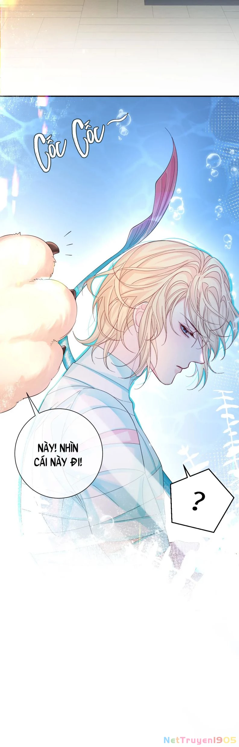 Nhân Ngư Rơi Xuống Chapter 39 - 11