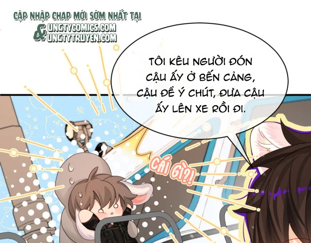 Nhân Ngư Rơi Xuống Chapter 40 - 33