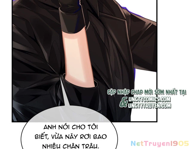 Nhân Ngư Rơi Xuống Chapter 40 - 61