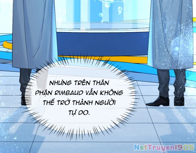 Nhân Ngư Rơi Xuống Chapter 40 - 73