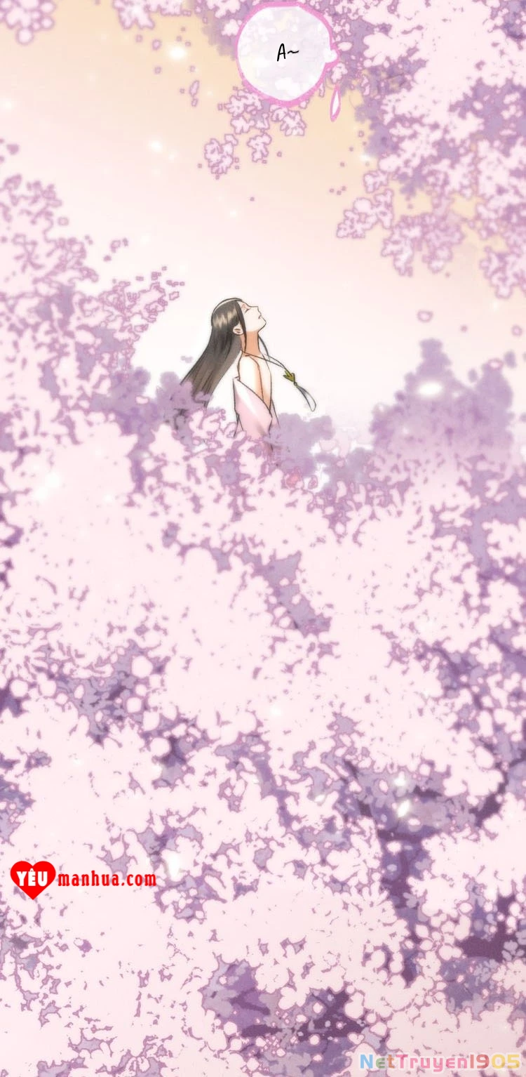 Tuân Mệnh Chapter 11 - 11