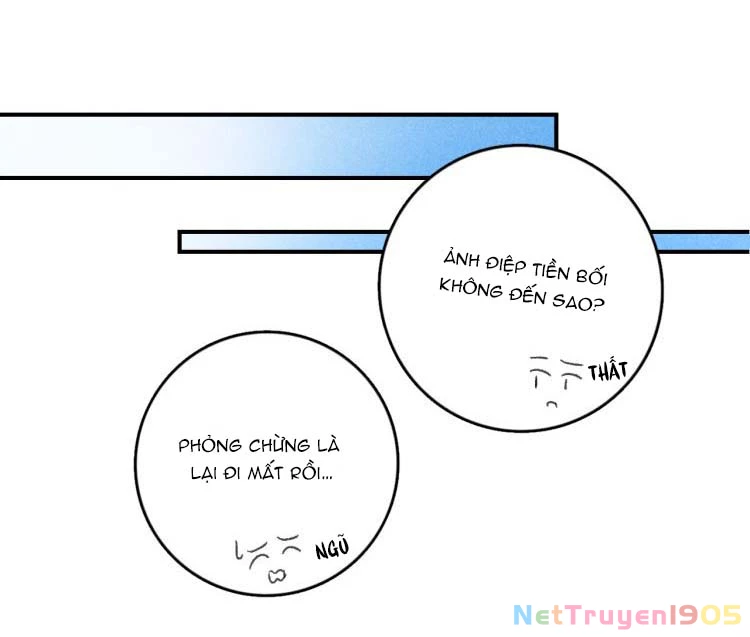 Tuân Mệnh Chapter 13 - 20