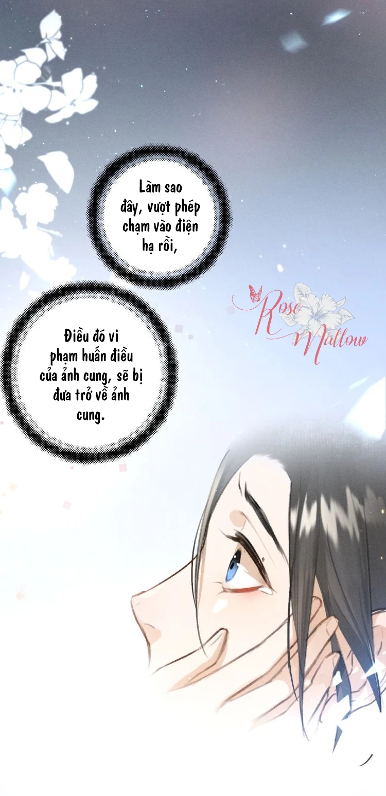 Tuân Mệnh Chapter 20 - 19