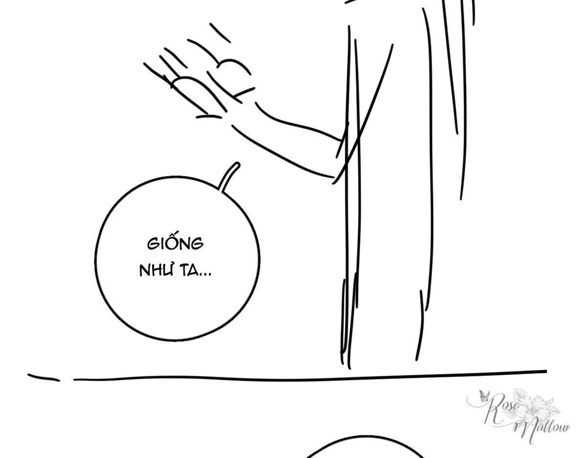 Tuân Mệnh Chapter 39 - 80