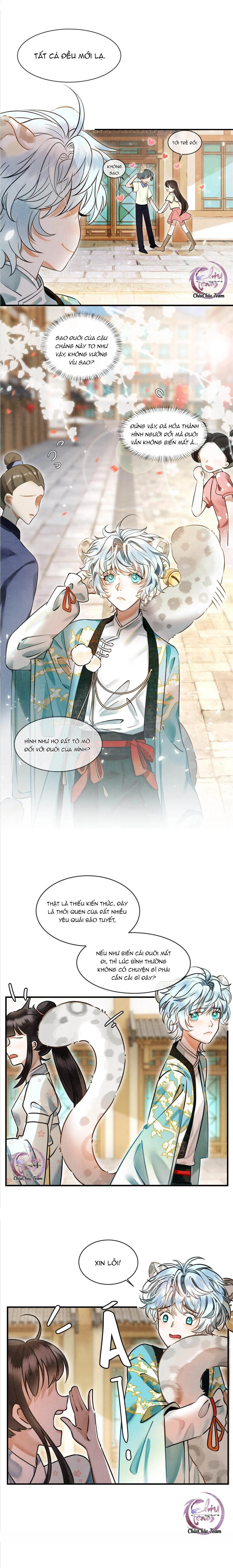 Báo Tuyết Thích Cắn Đuôi Chapter 0 - 2