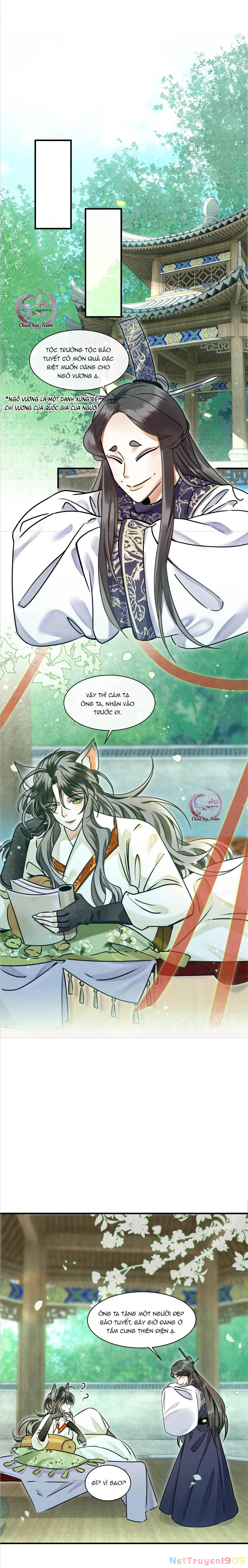Báo Tuyết Thích Cắn Đuôi Chapter 0 - 6